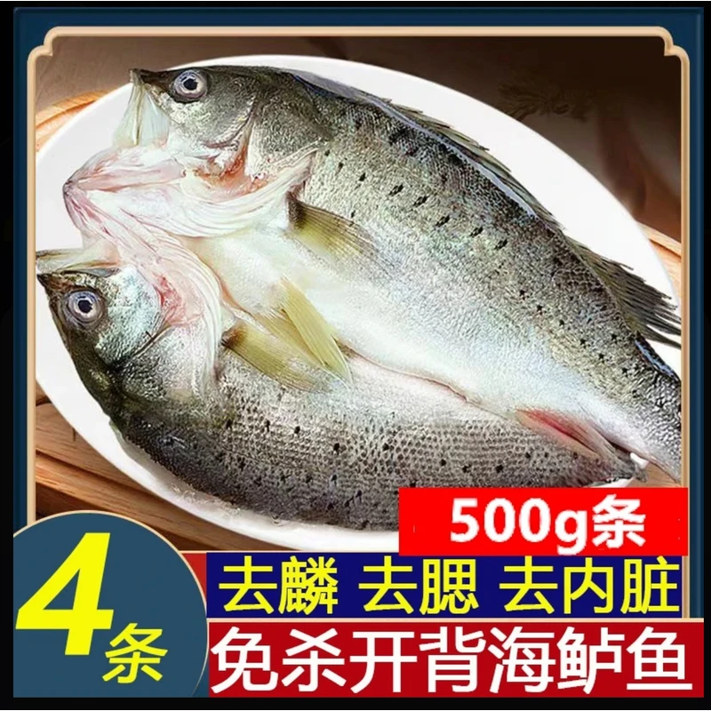 开背海鲈鱼海鲜水产4条500/600新鲜海鱼冷冻三去鲜嫩美味生鲜