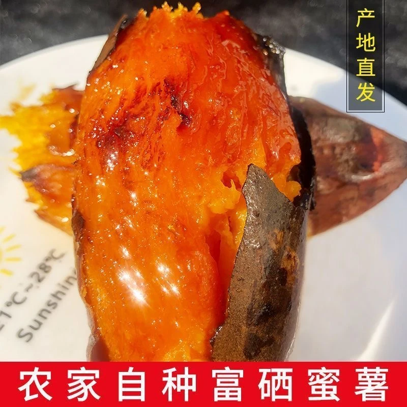 【正宗烟薯25】流油流蜜红薯新鲜现挖烤红薯糯香甜正宗蜜薯