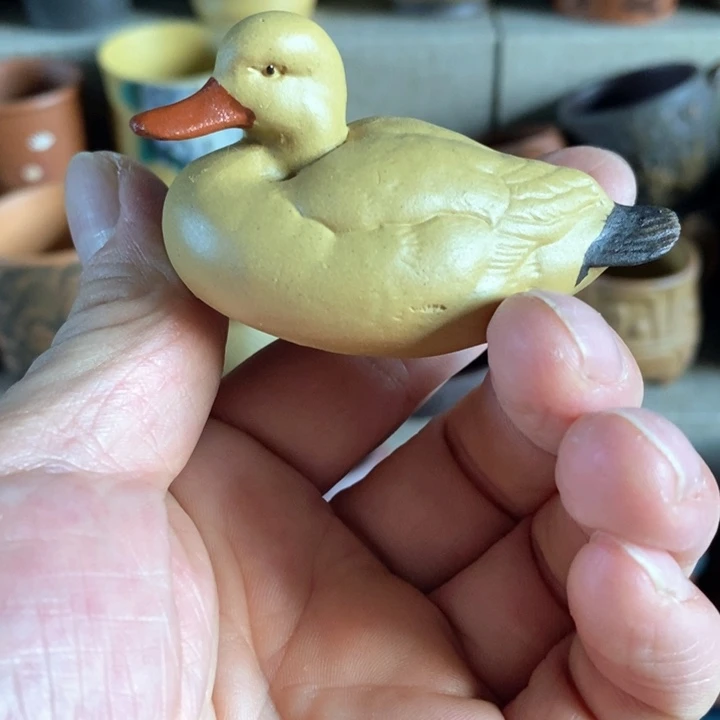 z s z s z s z s