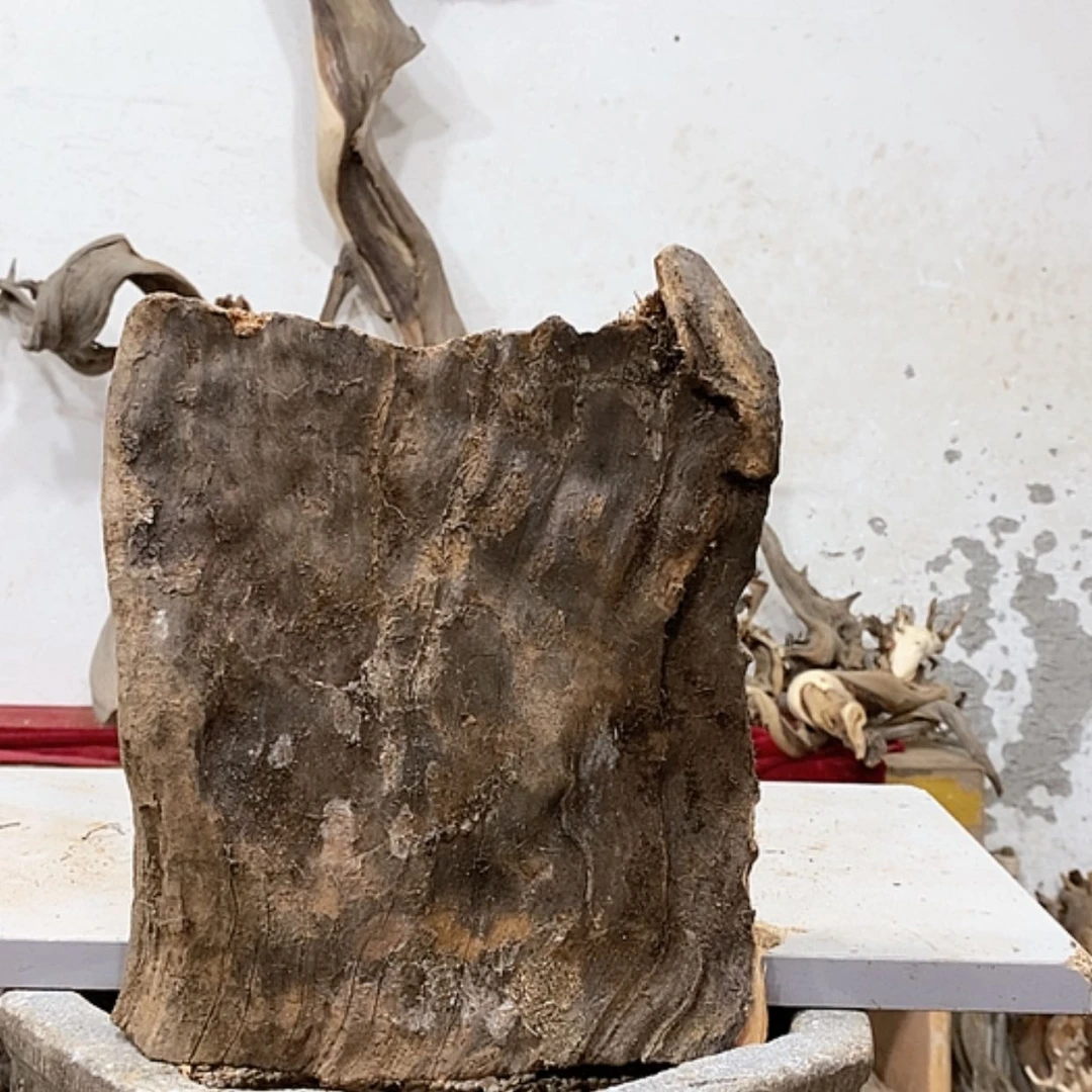 【闪购商品】柏木阿****装我们都是好孩子