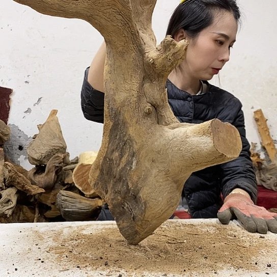 陈***坊柏木我们都是好孩子