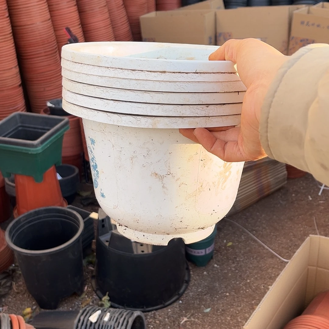 旧口径24高17白圆盆加厚6个