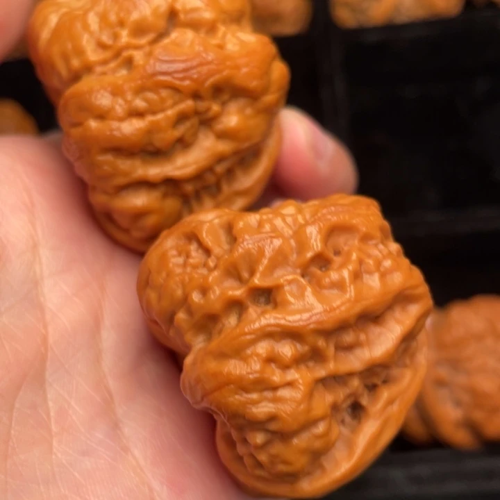 秦岭野生文玩核桃