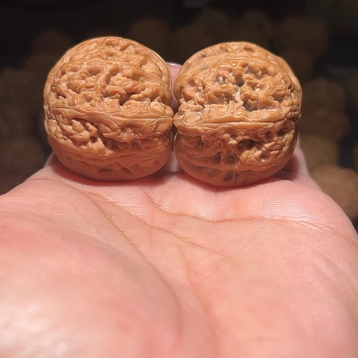 木41精品粗筋。