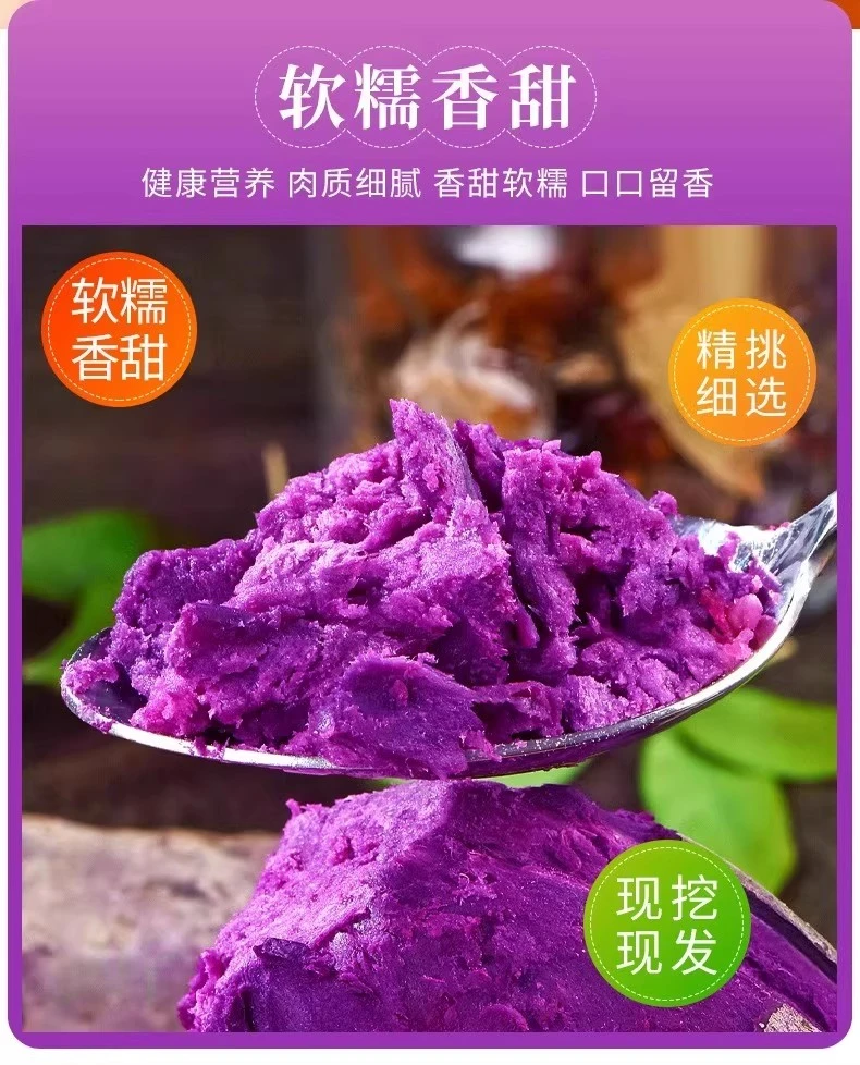 【正宗紫薯】紫薯新鲜农家自种沙地红薯