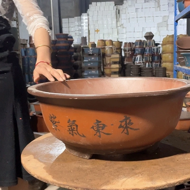 大红花盆花盆花盆