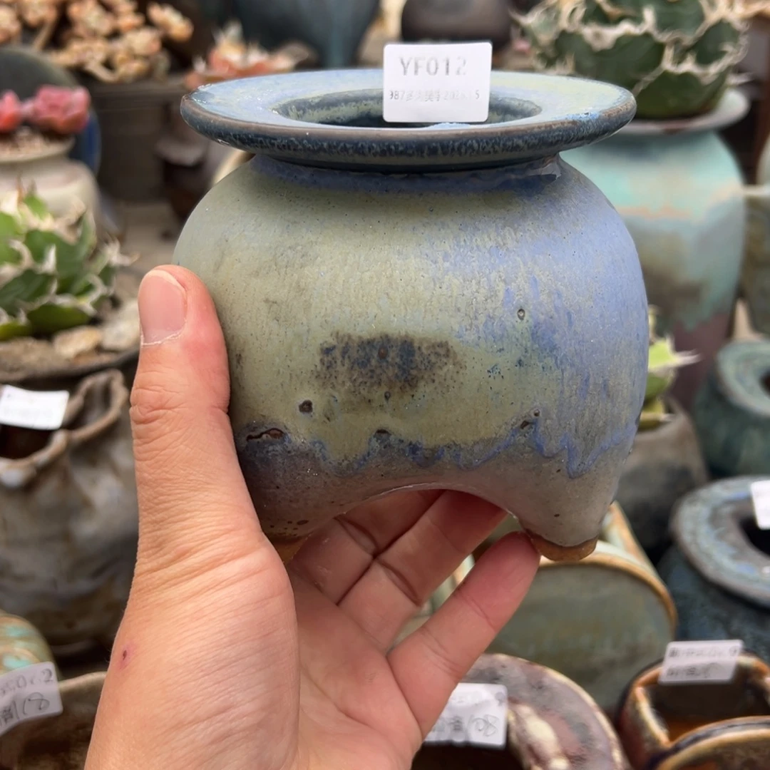 1987多肉花盆 YF012 星月夜胡巴