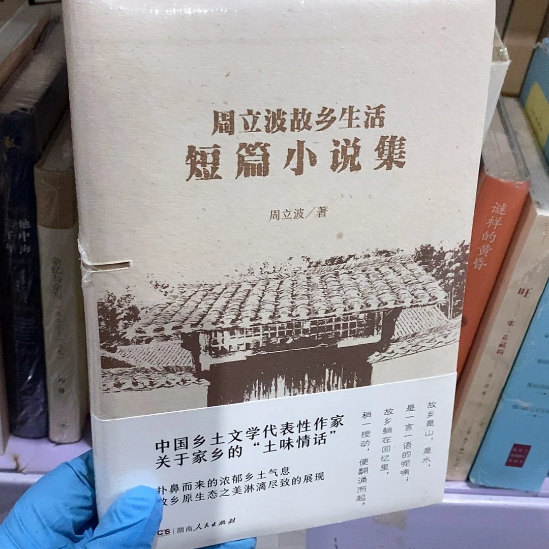 瑕疵锯口  周立波短片小说集