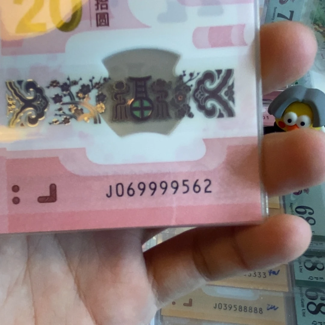塑料。。。。9562----。。。。