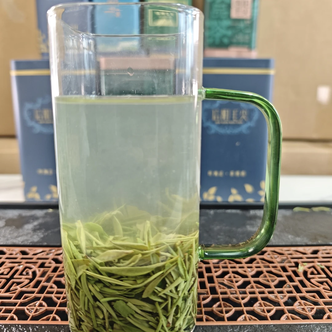信阳毛尖2025手工茶春茶正宗毛尖茶叶绿茶散装绿茶新茶2025新茶