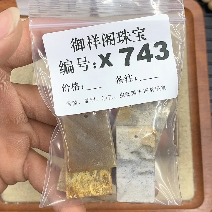 硅化珊瑚（珊瑚玉）颈饰未镶嵌n***1