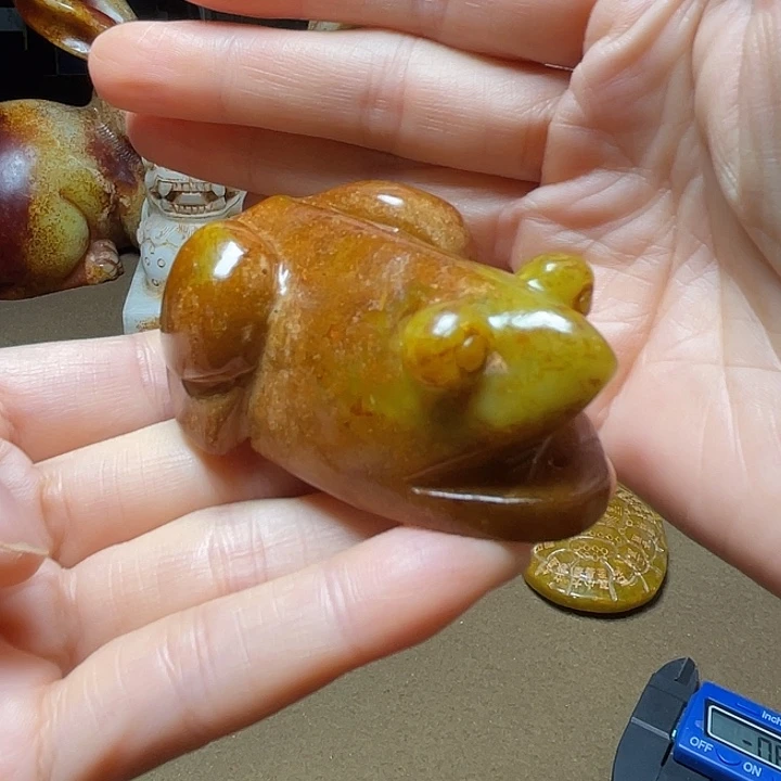 龙凡甄藏]……………..