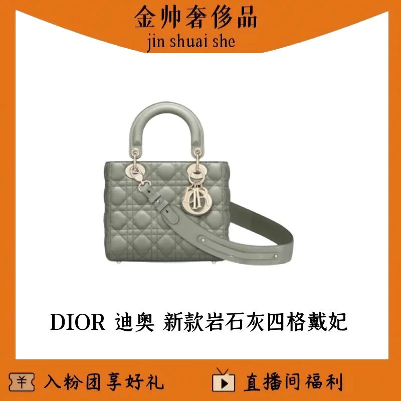 99新 DIOR/迪奥 岩石灰/四格戴妃/新款肩带/手提/单肩包/B5456