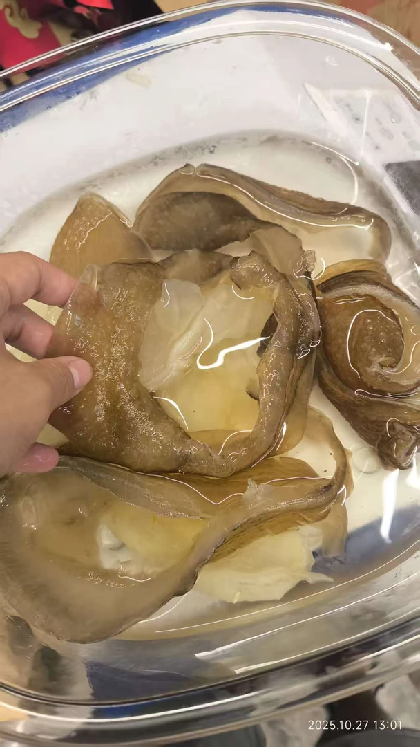 （直播）干货  鳖弦 干龟裙边甲鱼边