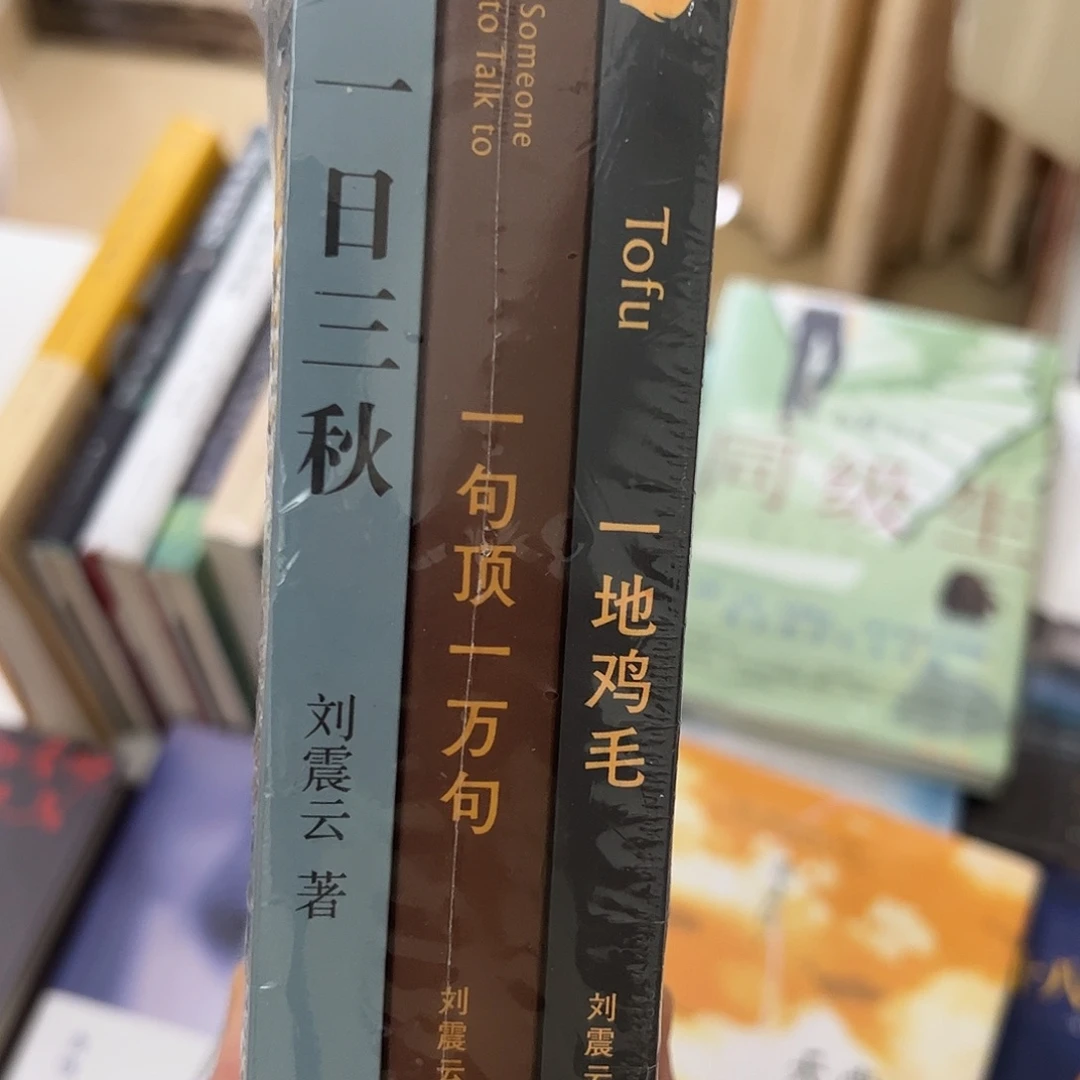 一地鸡毛，一日三秋平装