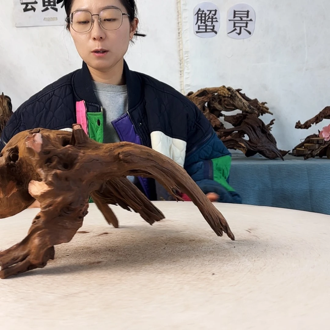 沉木造景爬宠造景