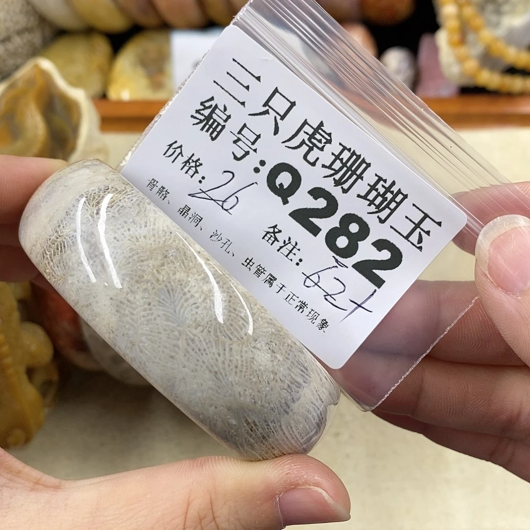 硅化珊瑚（珊瑚玉）1未镶嵌猫*喵