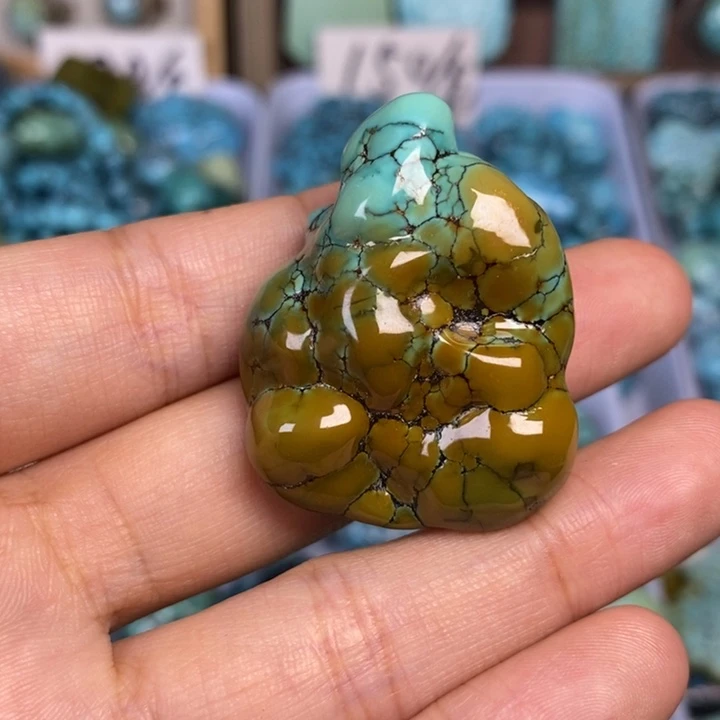 绿松石未镶嵌颈饰