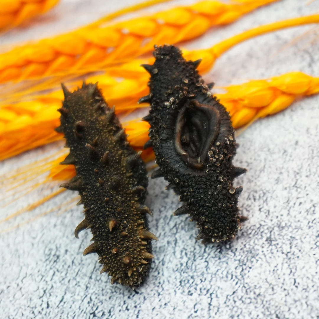 新货大连精品纯淡干海参 120-140头  顺丰包邮