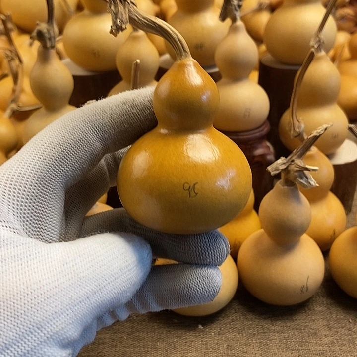 文玩葫芦 完美主义者 慎拍95