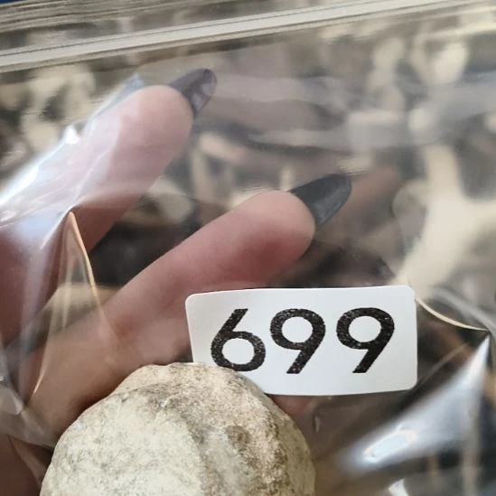 麦***师鹿角鹿角鹿角鹿角鹿角鹿角鹿角鹿角鹿角