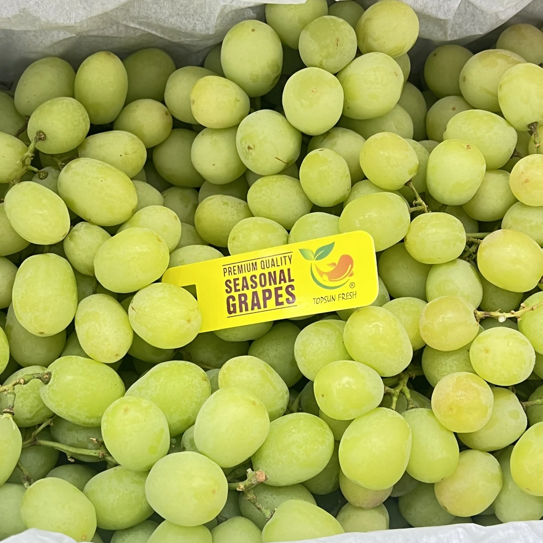 【龙大嘴】地球甜