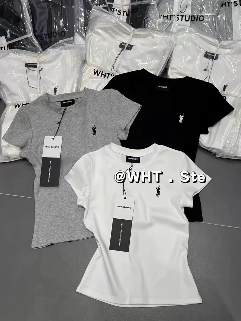 2025新款设计感小众小马标刺绣修身显瘦净版T恤圆领短袖白色T恤女