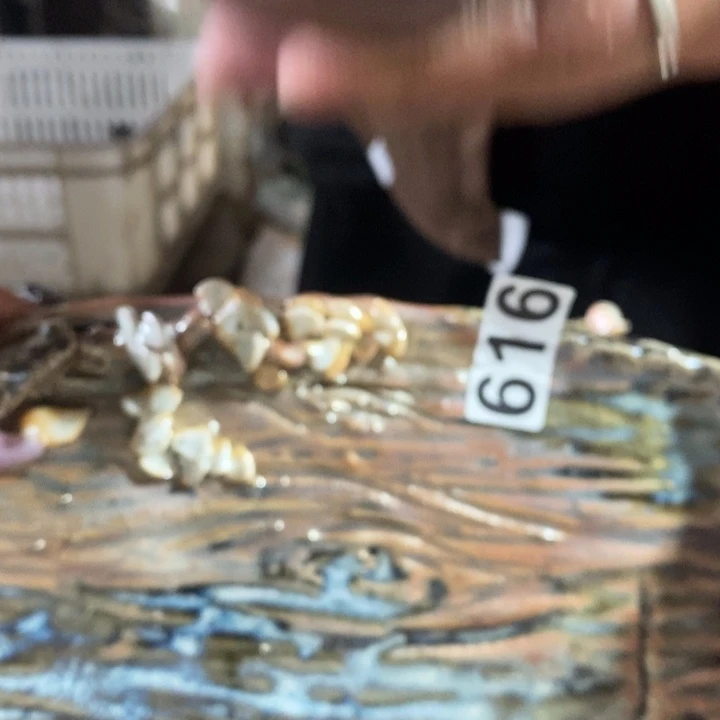 杯柴烧烤等小吃在国内