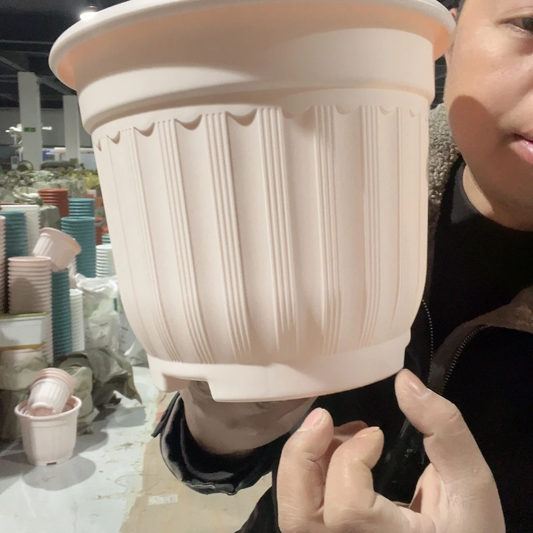 树脂罗马240粉3个无托