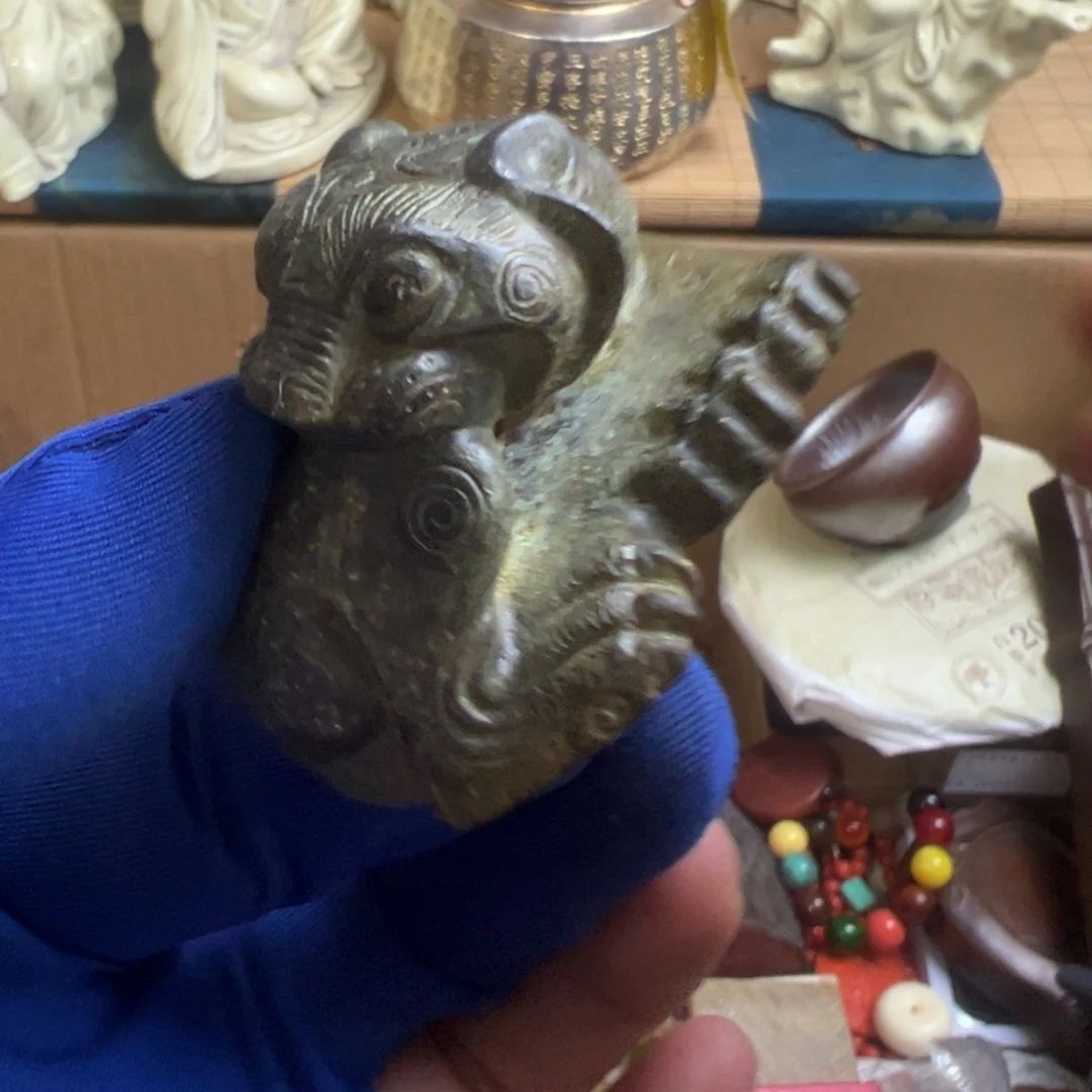 茶宠哈哈哈哈哈哈哈哈哈哈哈哈