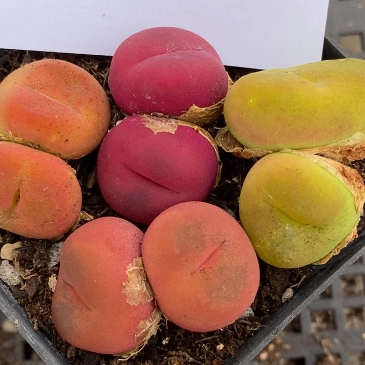 1389一组一组一组