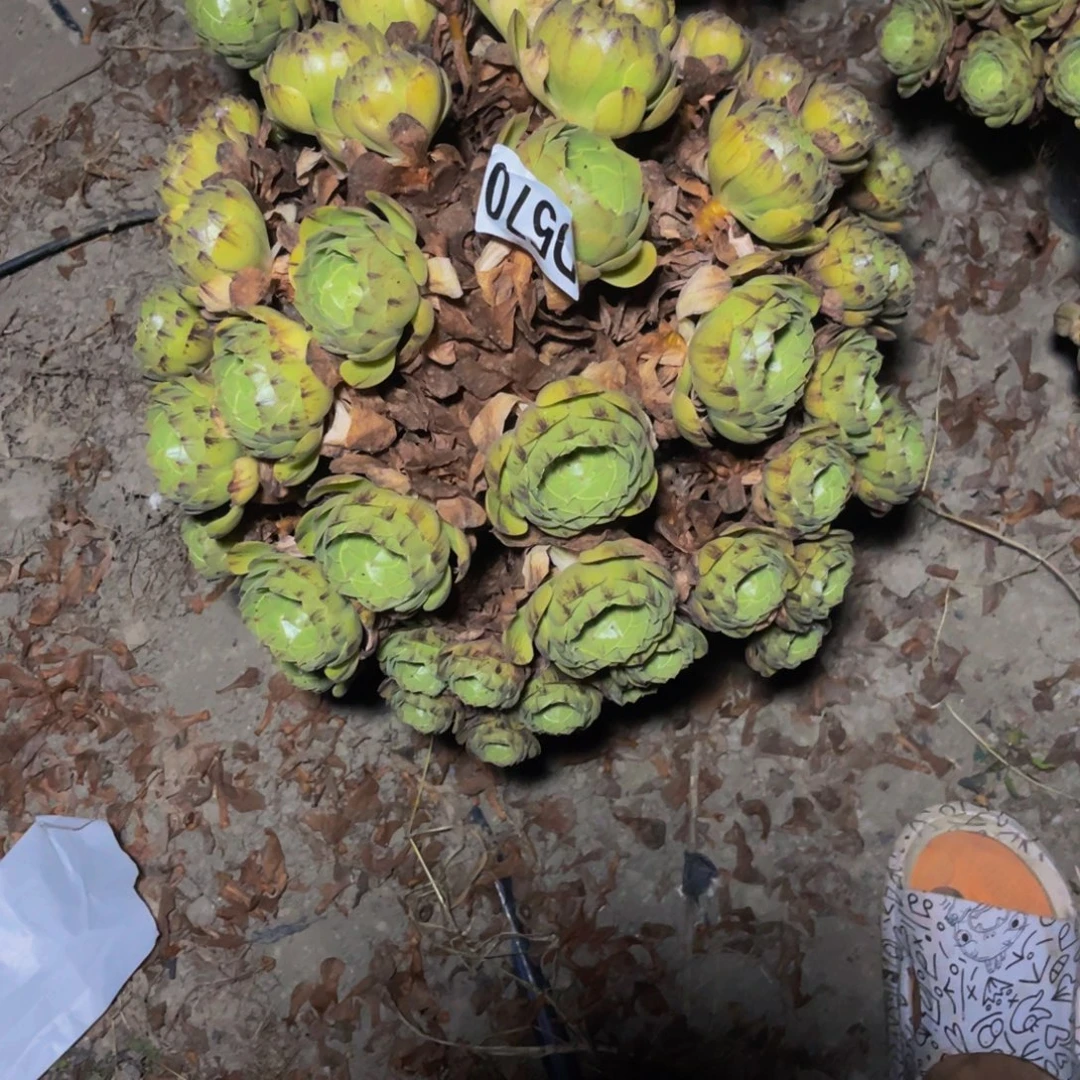 万拉丝14-///25包邮