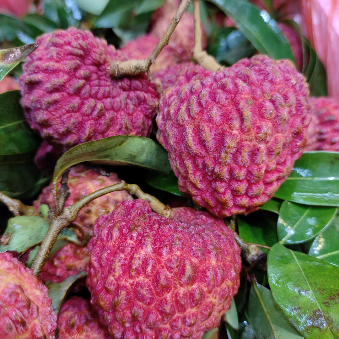 【荔枝王】新鲜荔枝王500克/份海南省