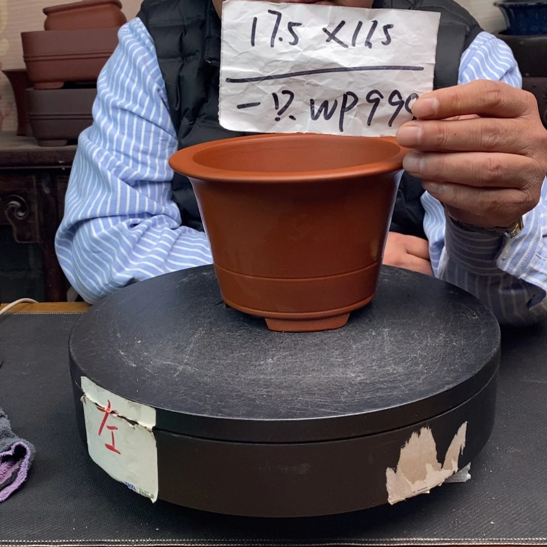 紫砂货号一只WP999