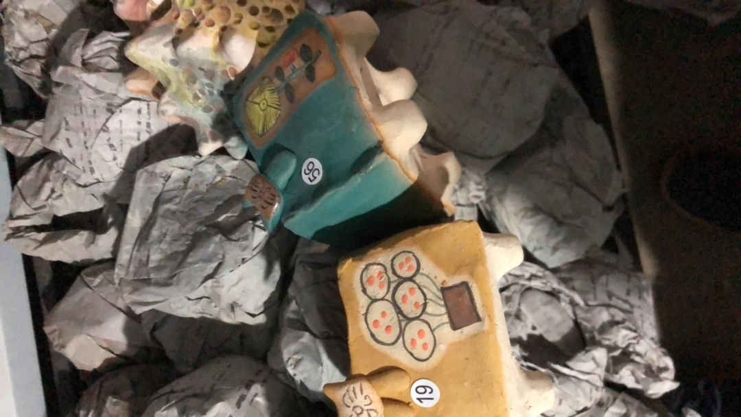 琳姐的盆多肉植物