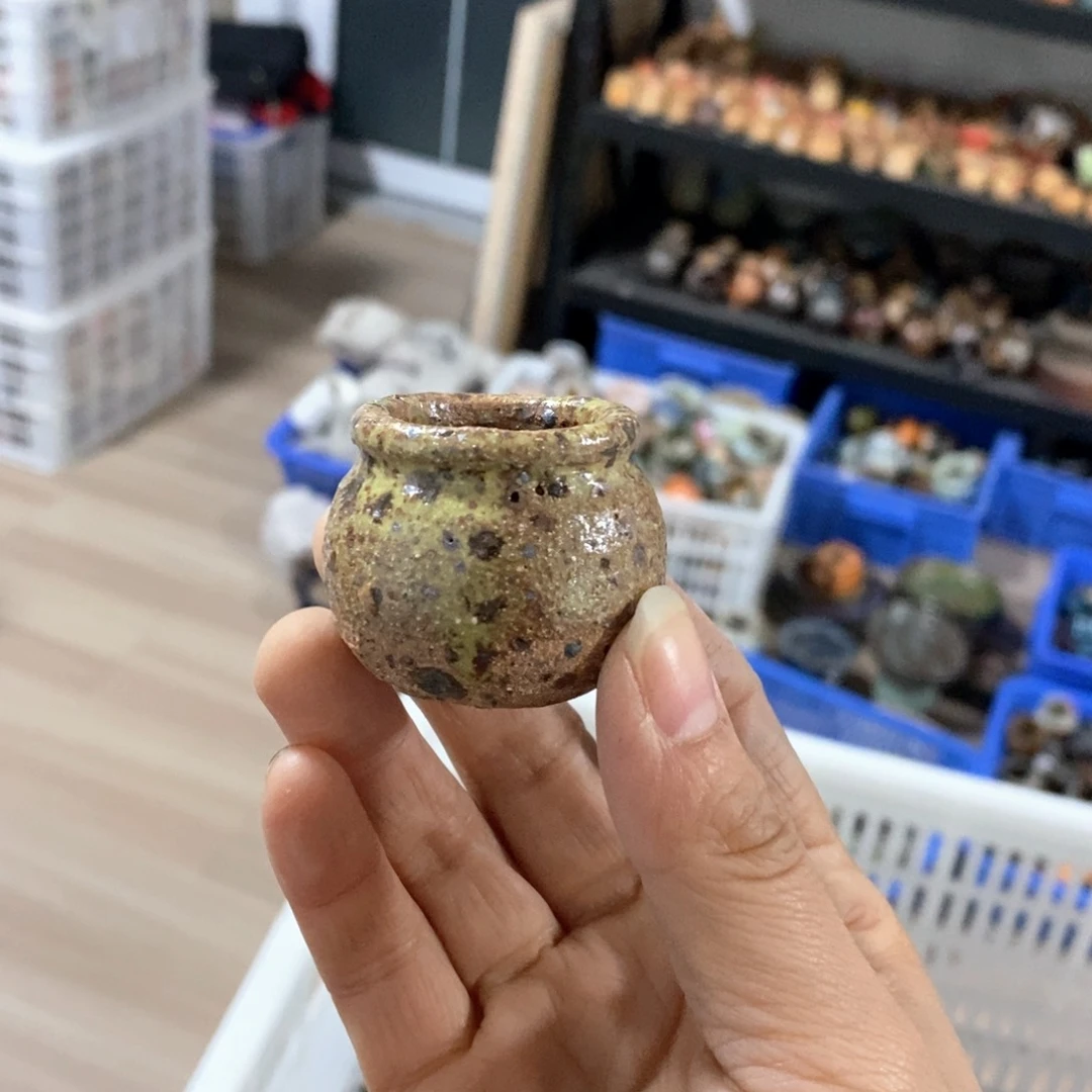 橘*酱花盆拍5送一个小礼物