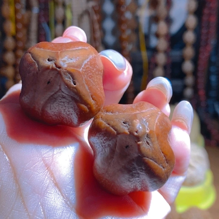 野生四花大橄榄核把件3045