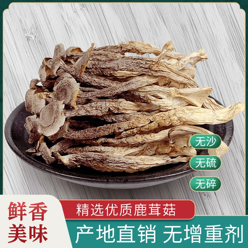 鹿茸菇干货无硫新货菌菇蘑菇爽脆鹿茸菇食用菌新鲜菌菇炒菜炖煲汤