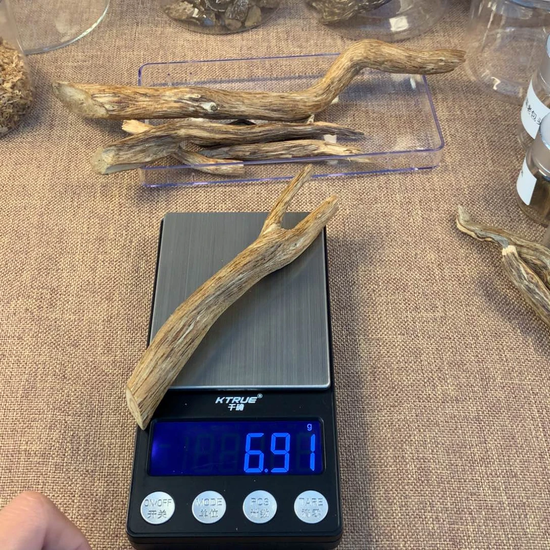港树根树心6.91克多样性发一