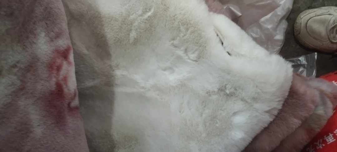 孤品兔绒长毛异形垫不条颜色随机发货