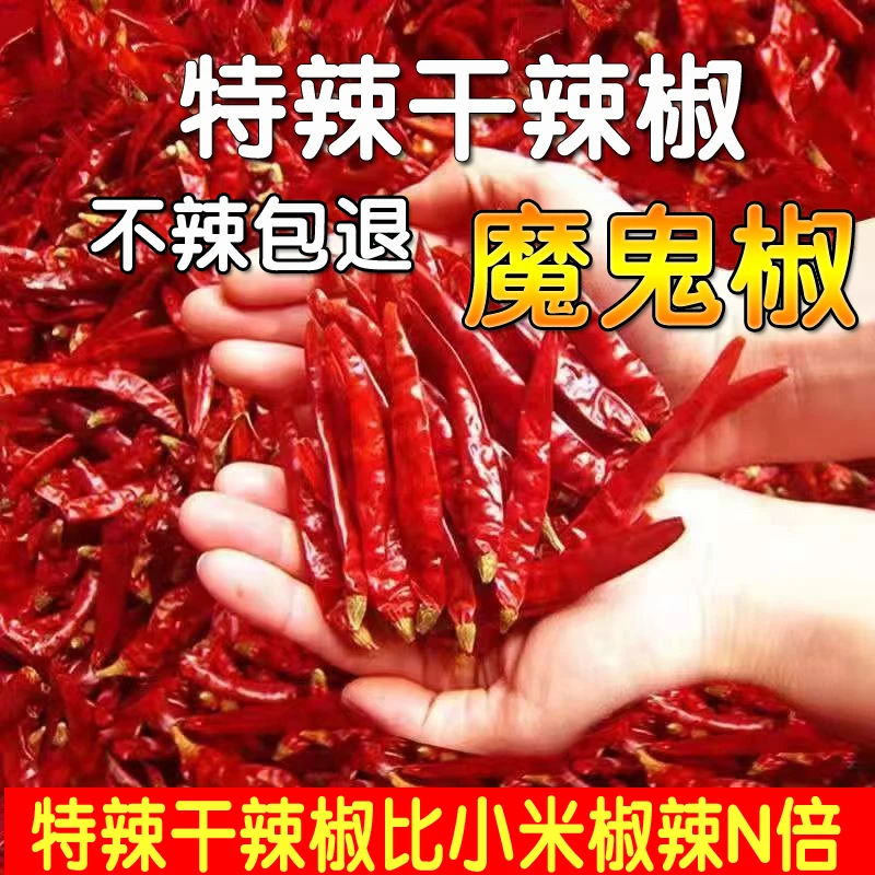 超辣特辣干辣椒辣椒朝天椒高辣特辣特香干净微辣超香增色增香250g