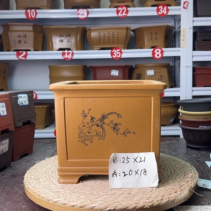 花盆紫砂蛇年大吉