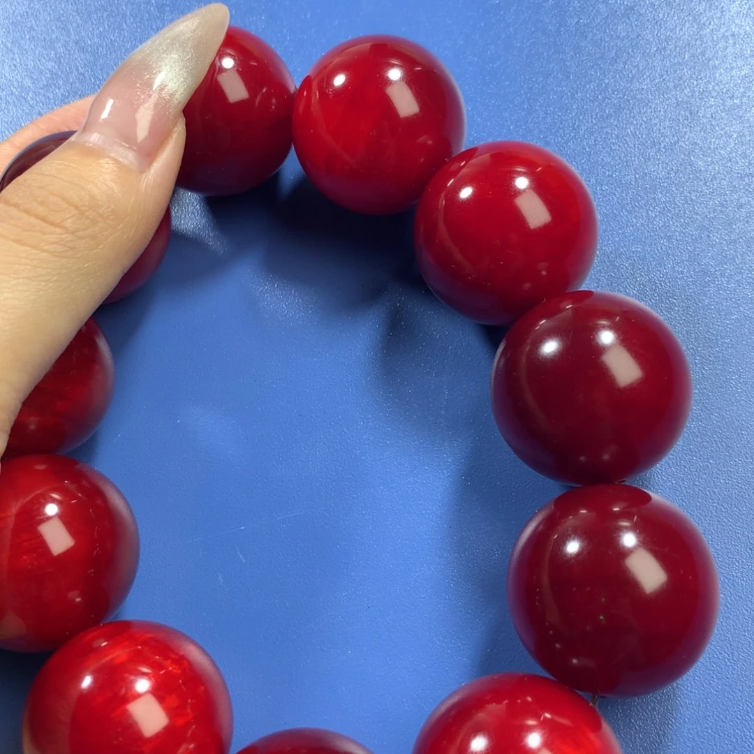 贝壳杉*️****血龙木2.5