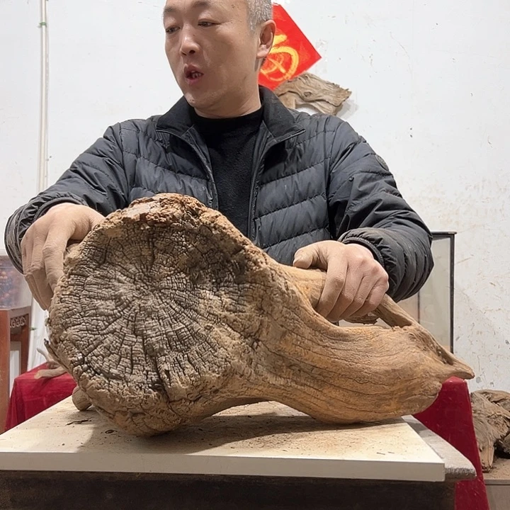 柏木古**香我们的生活也是如此