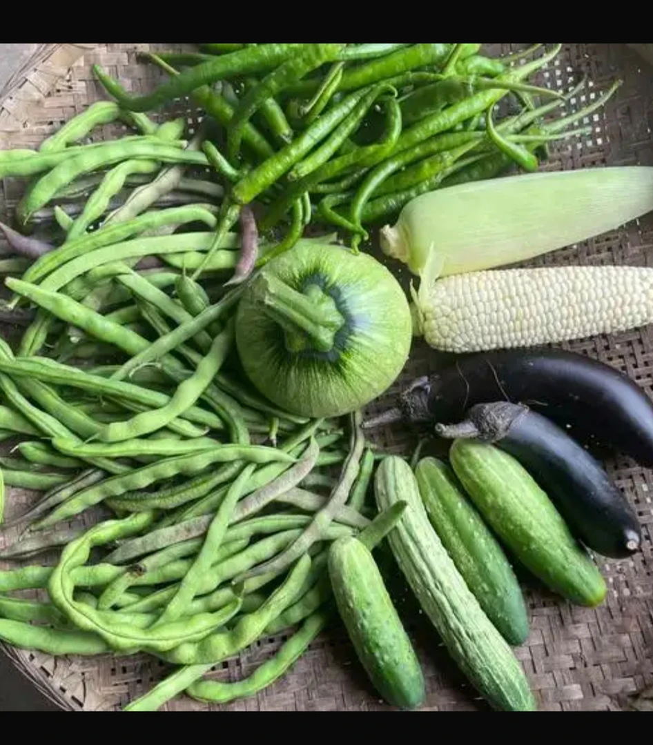 沂蒙山本地自家种植蔬菜拼2菜