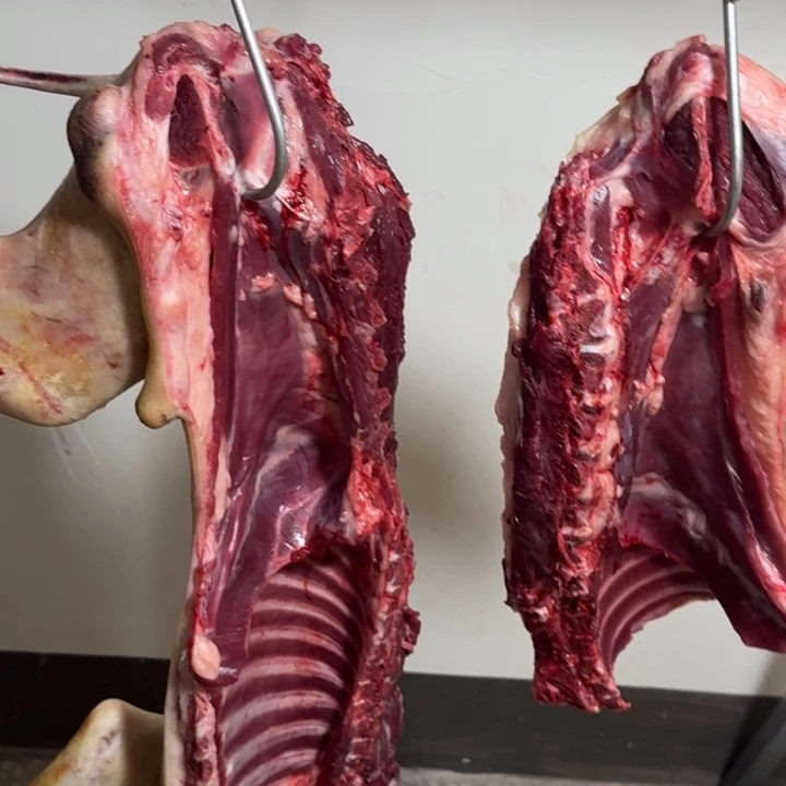 鲜肉直播间（一物一拍）中国大陆