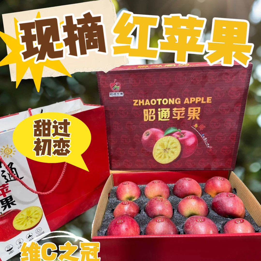 礼品盒包装昭通2001苹果 5斤 现摘现发 嘎嘣脆 嘎嘣甜