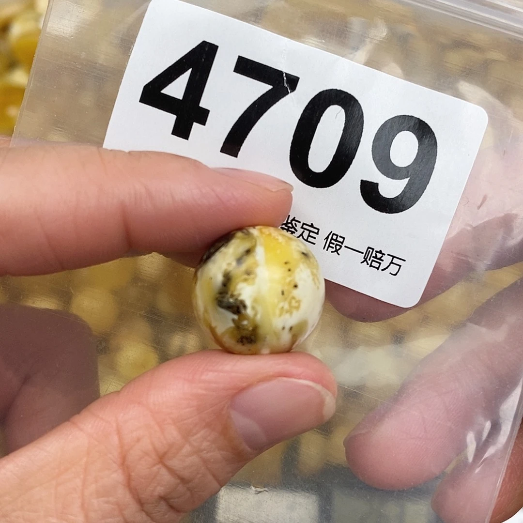 蜜蜡未镶嵌珠宝奇石17.6