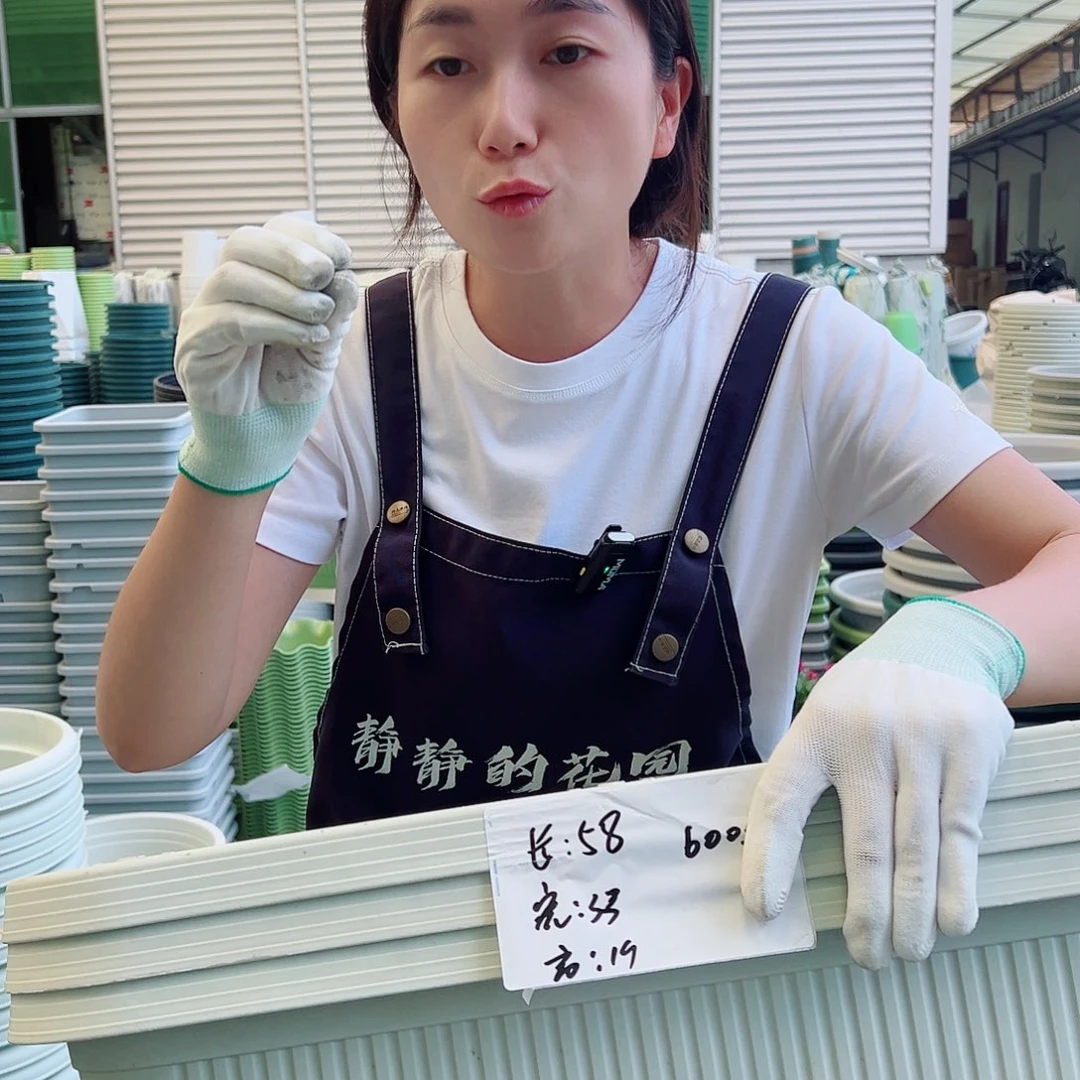 菜盆600#米白3个无托