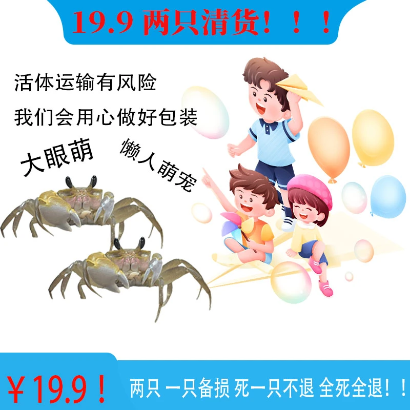 大眼萌清货链接拍一发二只包活一只